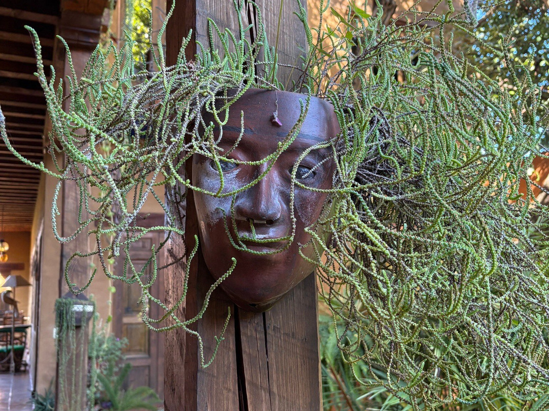 Hotel Posada Yolihuani主图