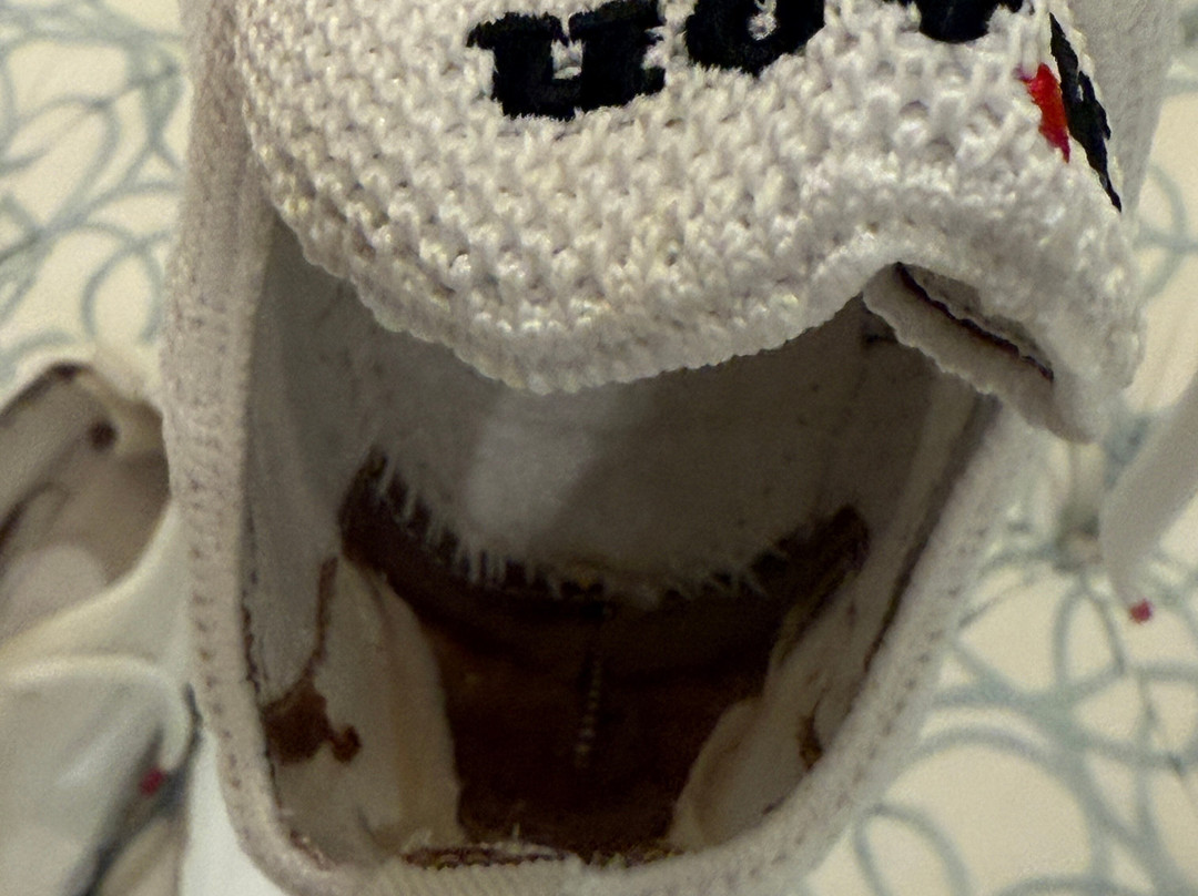 The Royal Poinciana Plaza-棕榈海滩必去景点