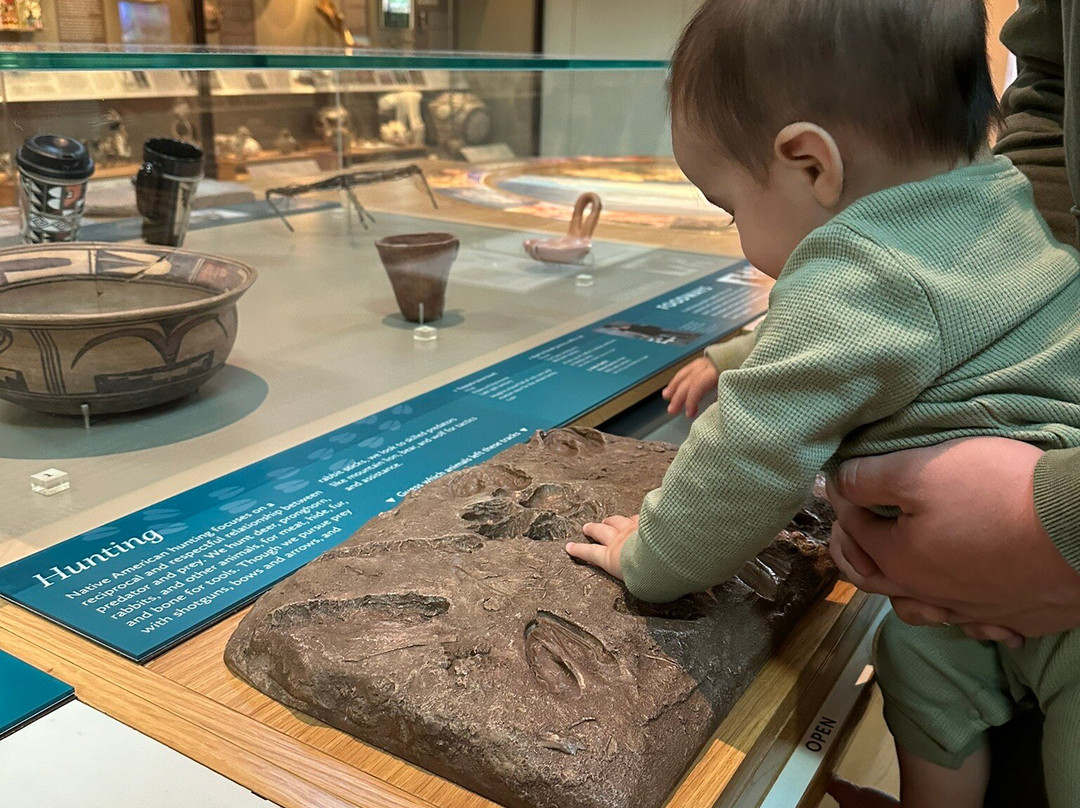 Museum of Northern Arizona-弗拉格斯塔夫必去景点