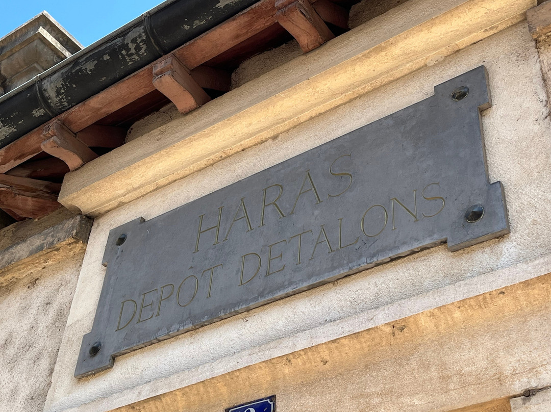 Haras National de Cluny-Cluny必去景点