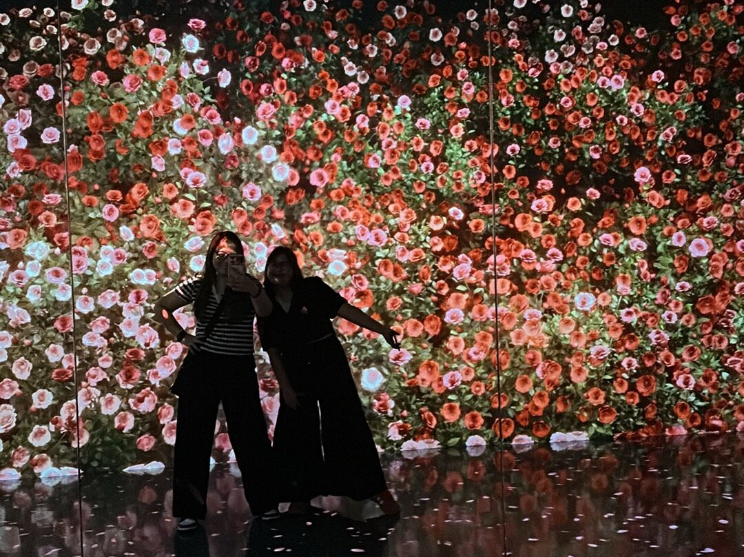 ARTE MUSEUM DUBAI-迪拜必去景点