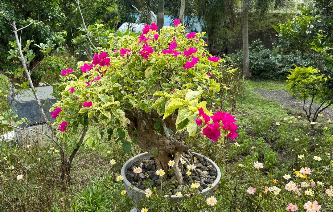 Mother's Wonderland-Tayabas City必去景点