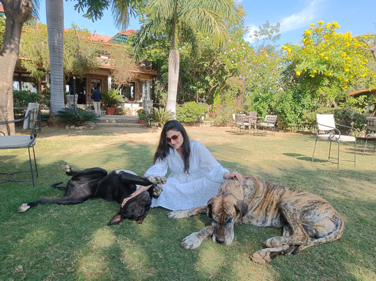 Jhadol Safari Resort主图