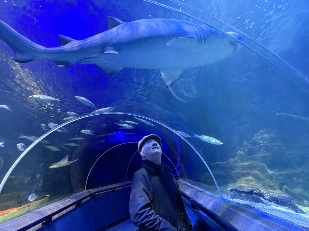 Deep Sea World-北昆斯费里必去景点