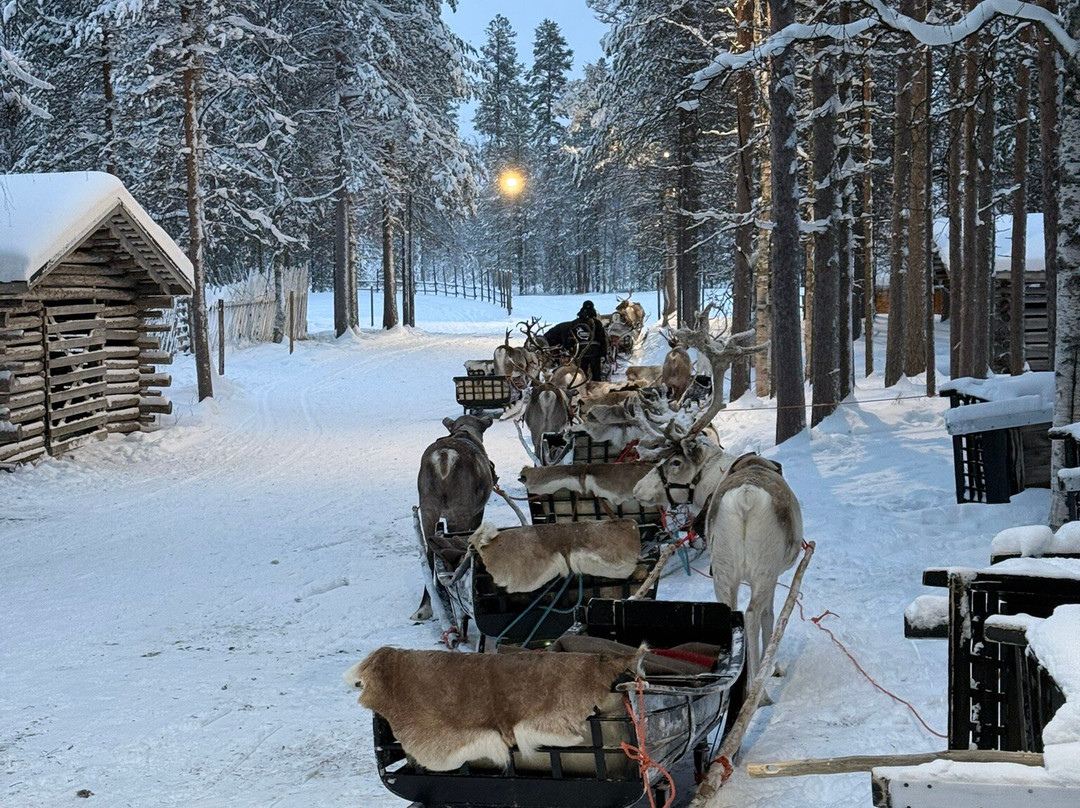 Jaakkola Reindeer Farm-Luosto必去景点