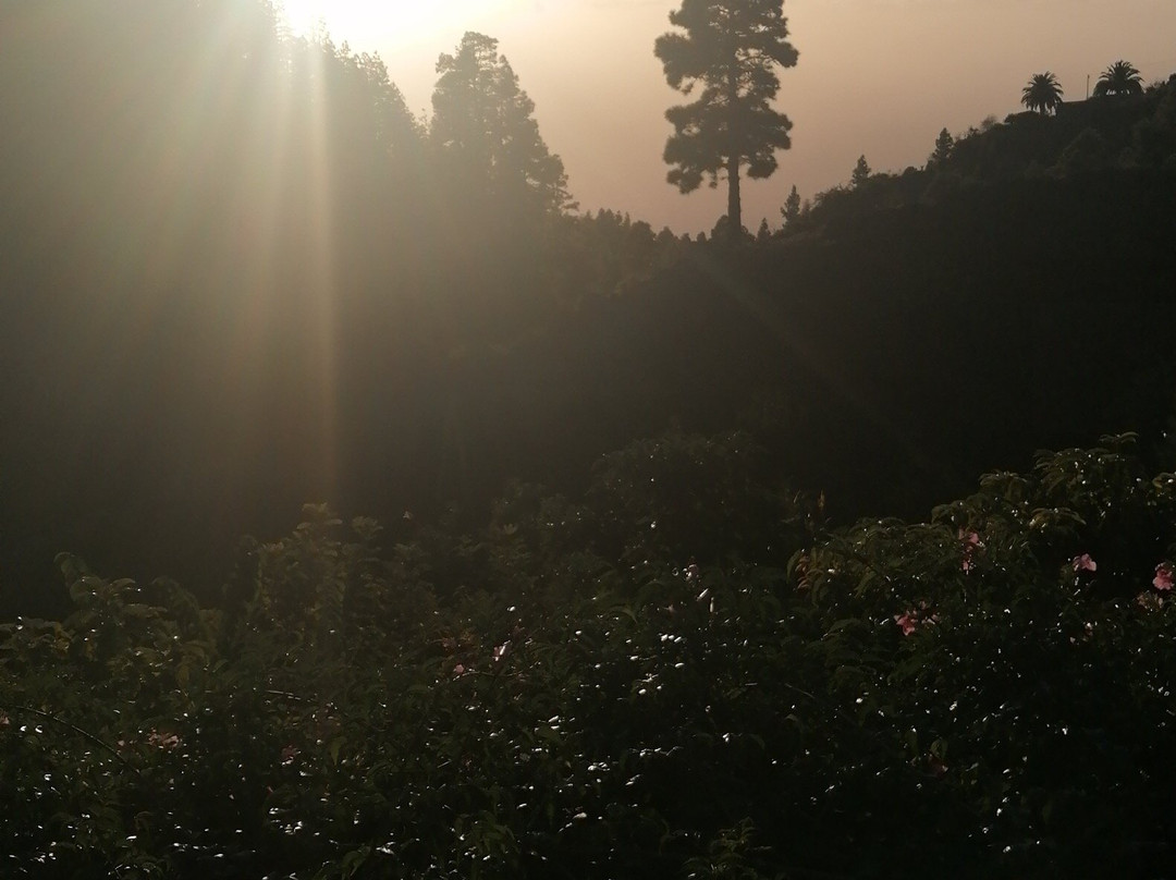 Vidyamor Yoga Retreats Canary Islands-Tijarafe必去景点