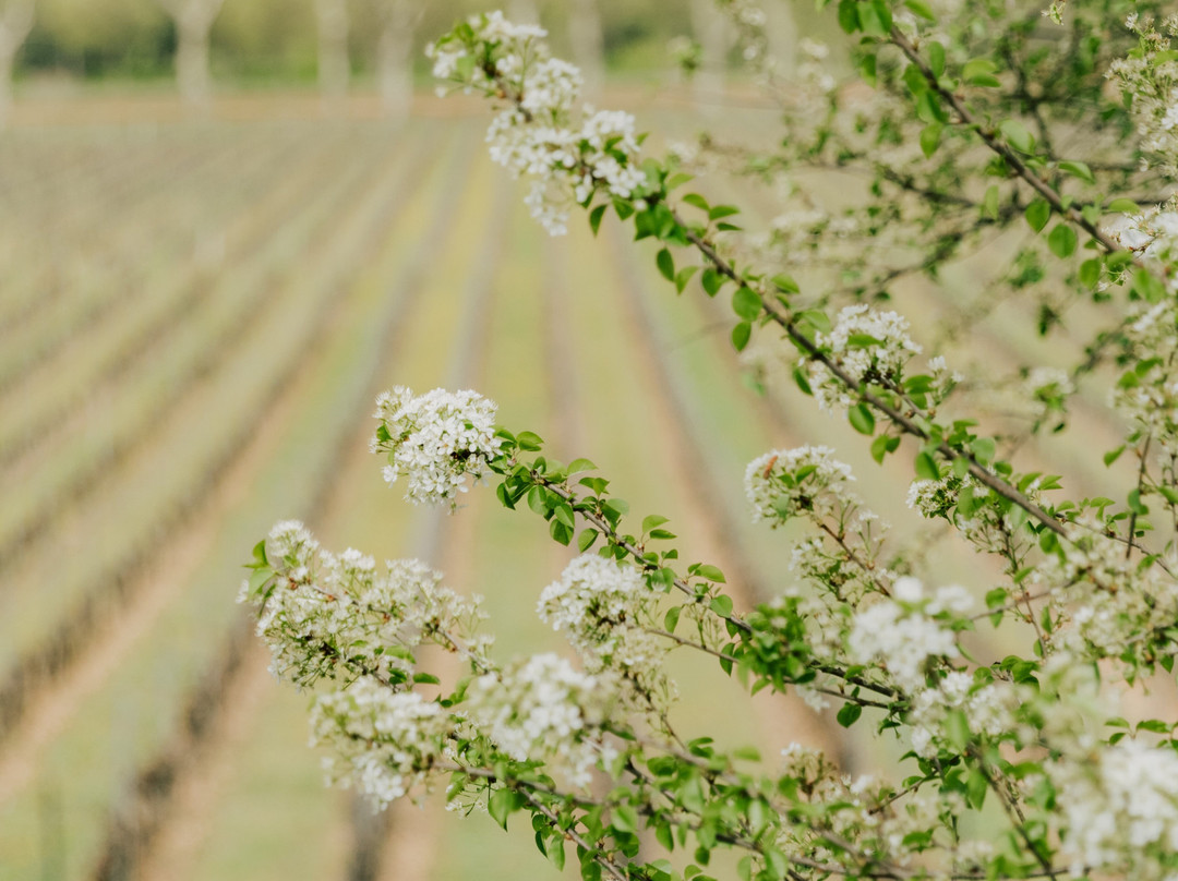 La Grande Sieste-Aniane必去景点