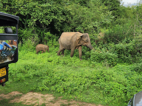 Vision Lanka Tours-加勒必去景点