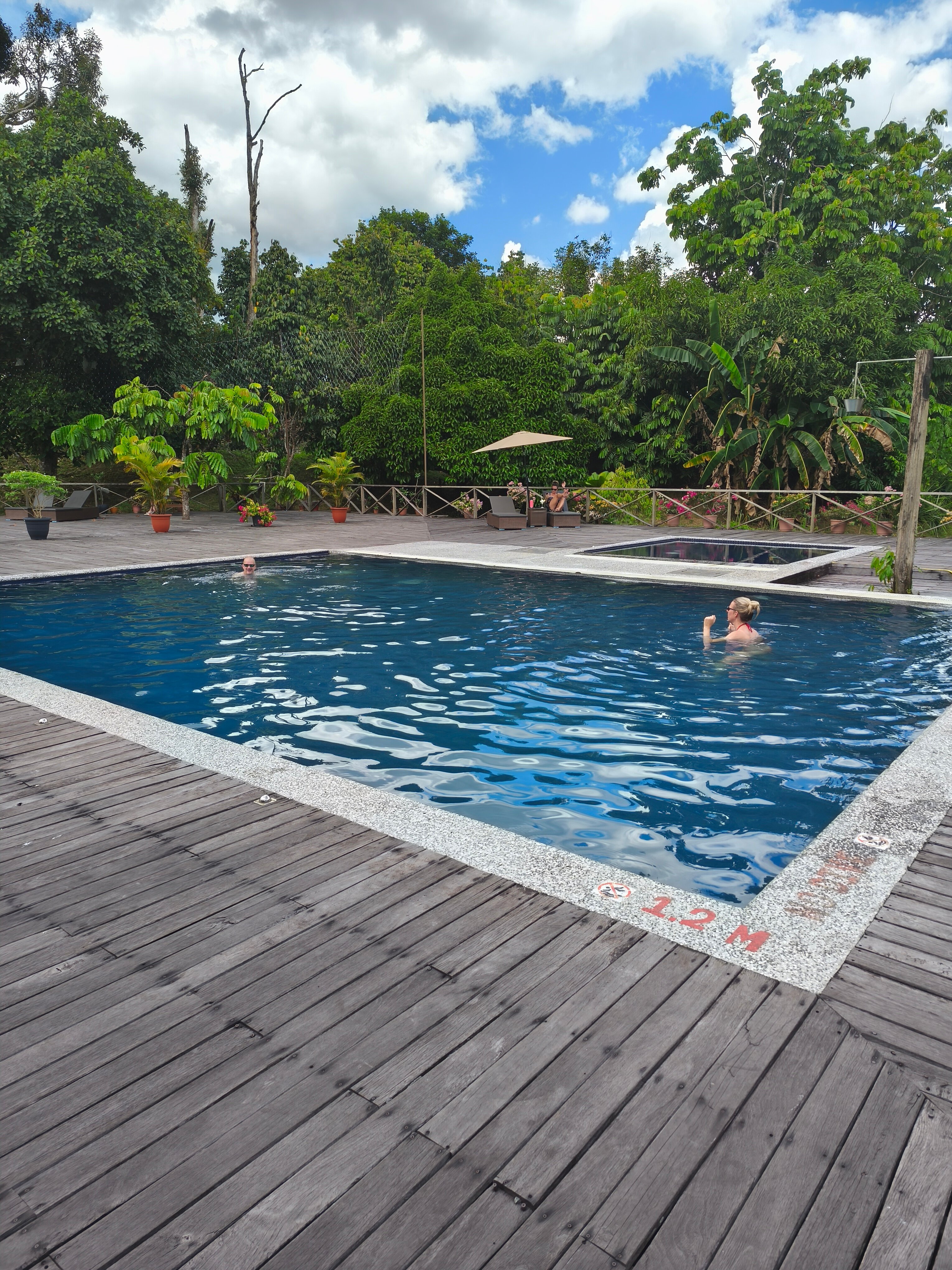 Borneo Sepilok Rainforest Resort-泳池