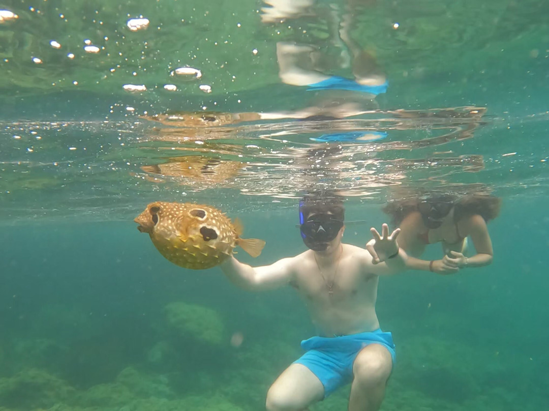 Acqua Jungle Ilha Grande-Vila do Abraao必去景点