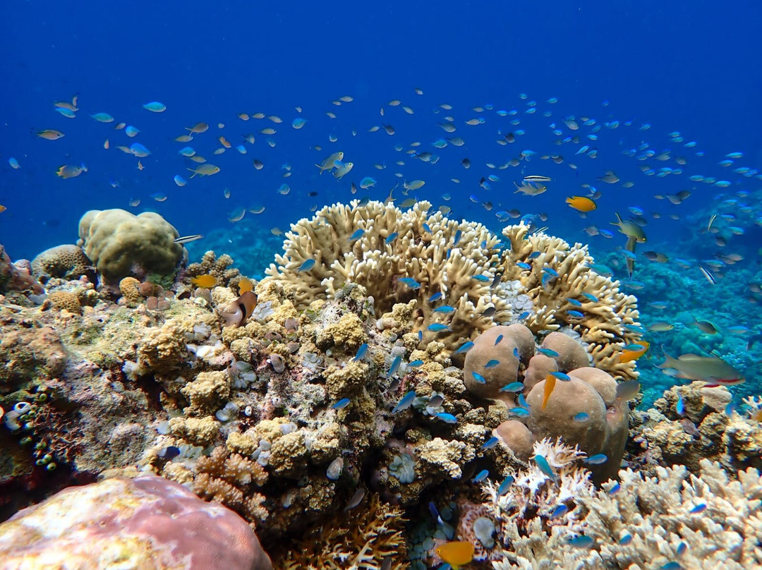 SOFANDA RESORT-Dompu必去景点