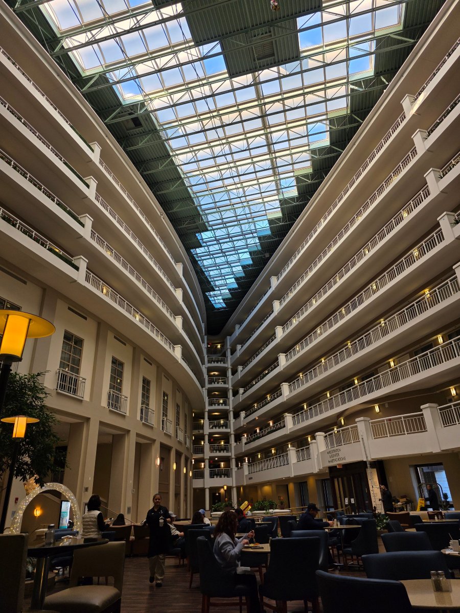 亚历山德里亚旧城希尔顿安泊酒店-官方