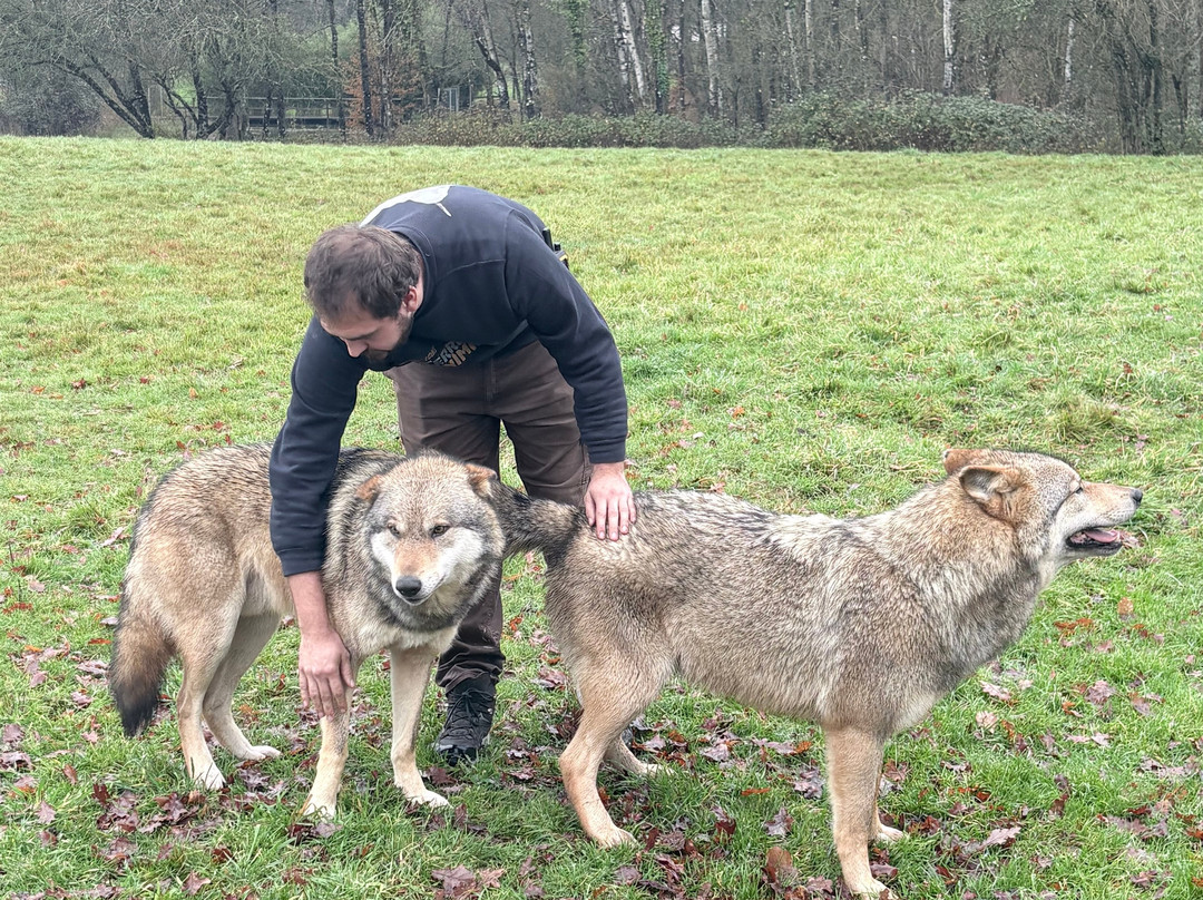Rendez-vous en Terre Animale-Sury-aux-Bois必去景点