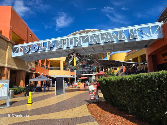 海豚商场-迈阿密必去景点