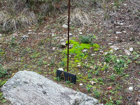 Petrified Forest Lefkimi