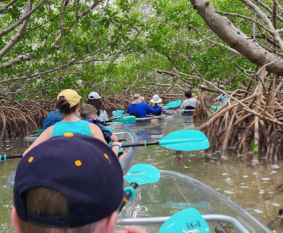 I Can See Clear Kayaking-伊斯拉摩拉达必去景点