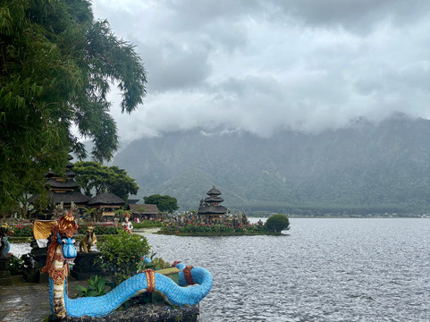 Ubud Center Tour Driver-乌布必去景点