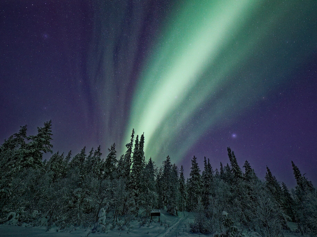 Nivunki Village-Muonio必去景点