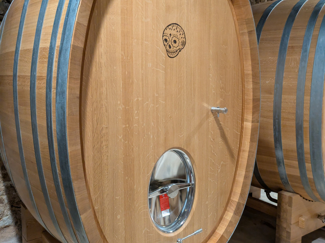 Bodega Ribas-Consell必去景点