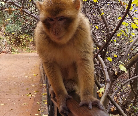 marrakech get your guide-马拉喀什必去景点