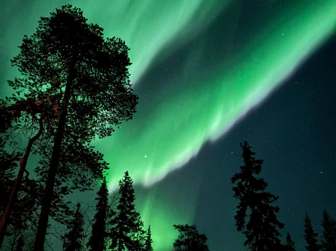 Lapland Safaris Luosto-Luosto必去景点