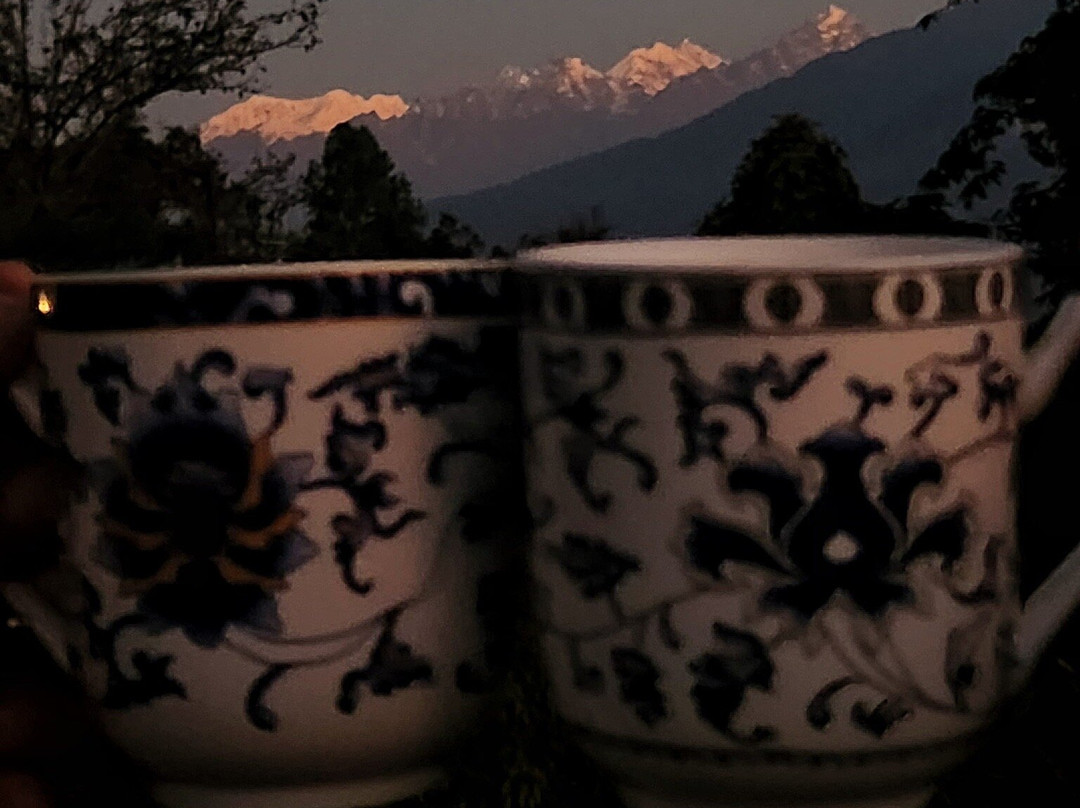 Eco Adventure Resorts the Temi Bungalow主图