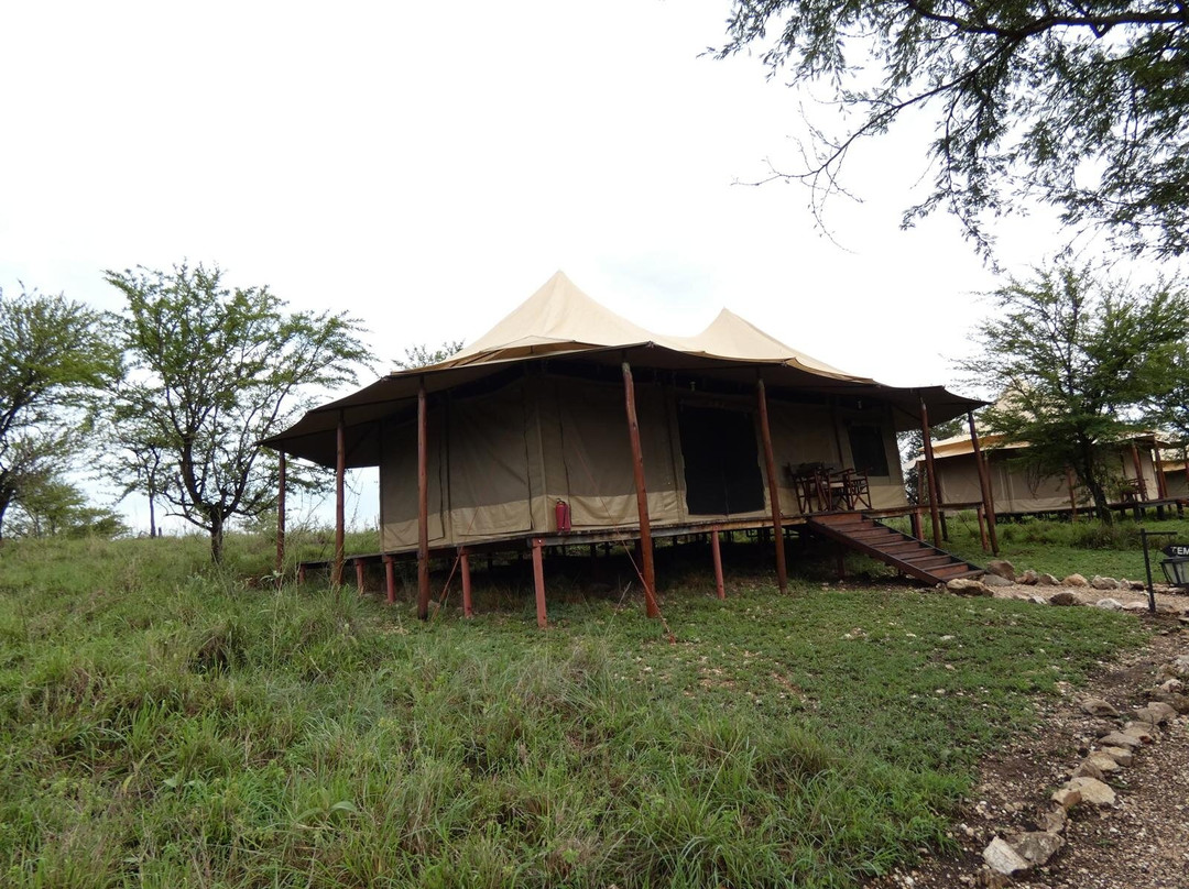 Matawi Serengeti Camp