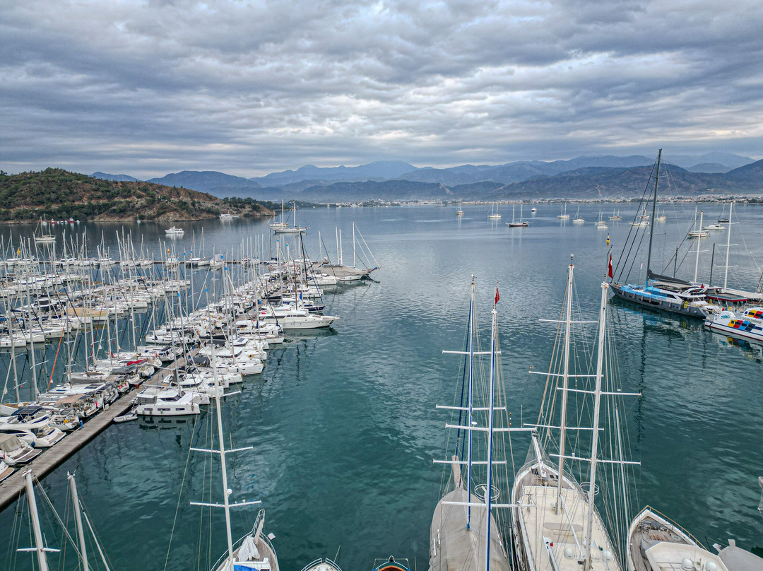 Gaja Exclusive Wine & Spirits Store