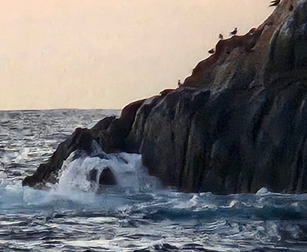 Archipielago Revillagigedo-卡波圣卢卡斯必去景点