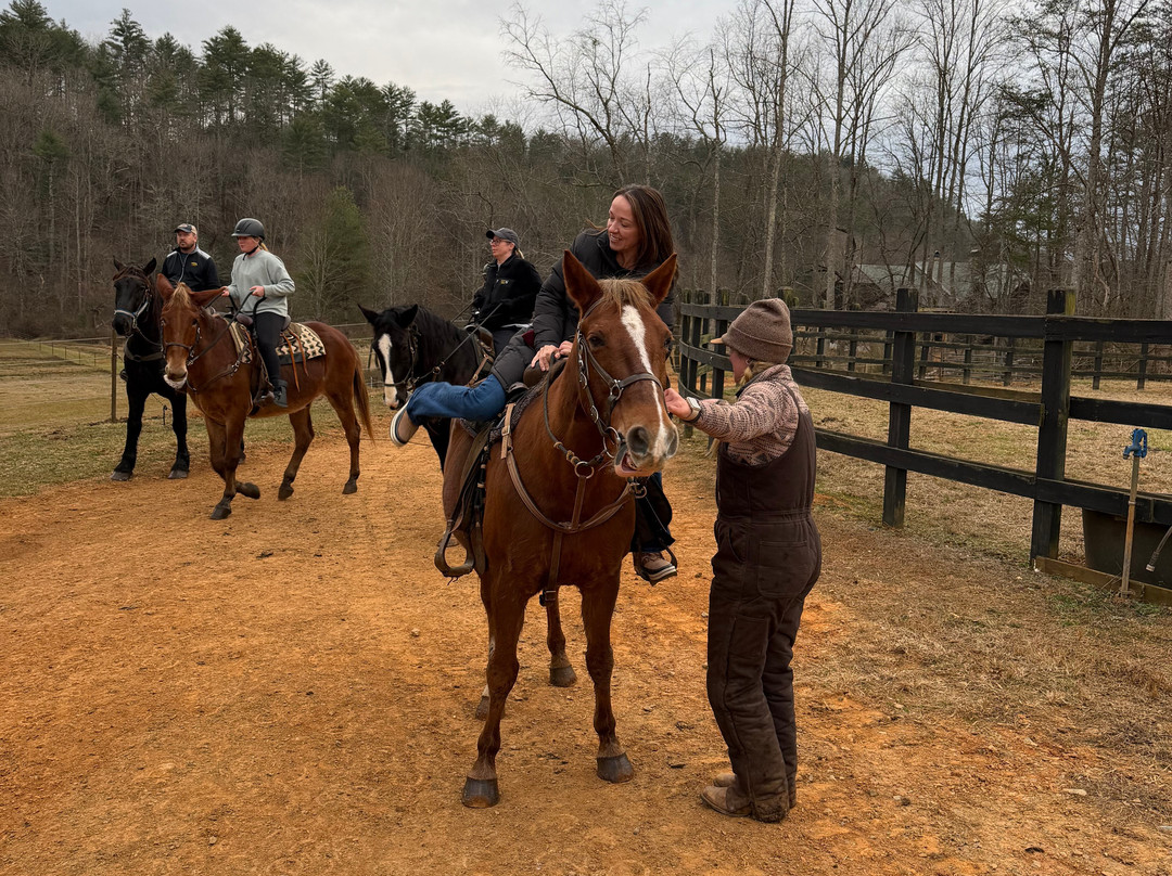 Appalachian Trail Rides-Mineral Bluff必去景点