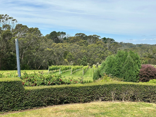 Amour of the Grape Tours-Rosebud必去景点
