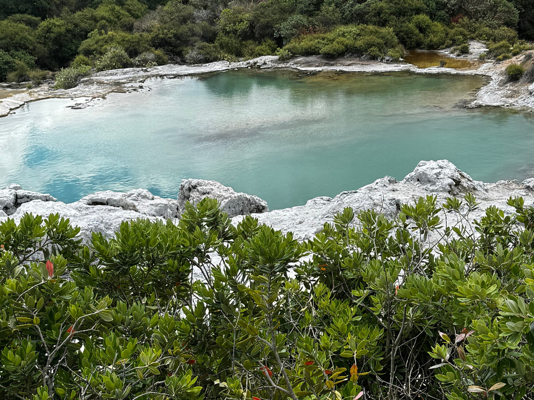 Scott Tours-陶兰加必去景点
