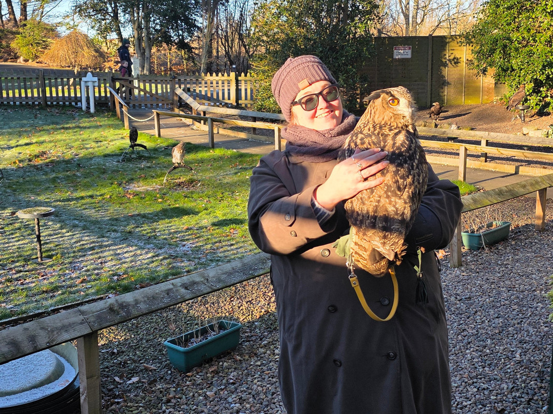 Dalhousie Castle Falconry-邦尼里格必去景点