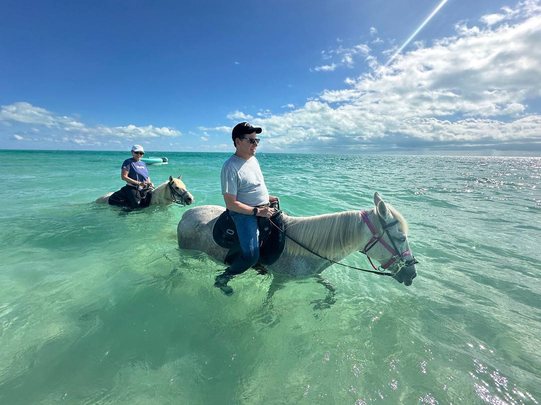 Provo Ponies-Long Bay Hills必去景点