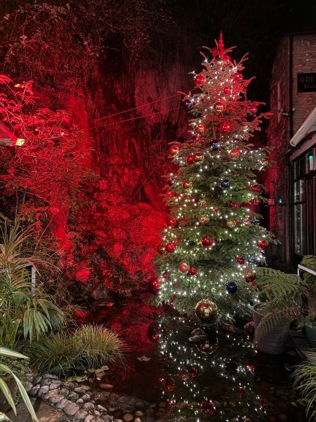 科克城艾萨克斯酒店-官方