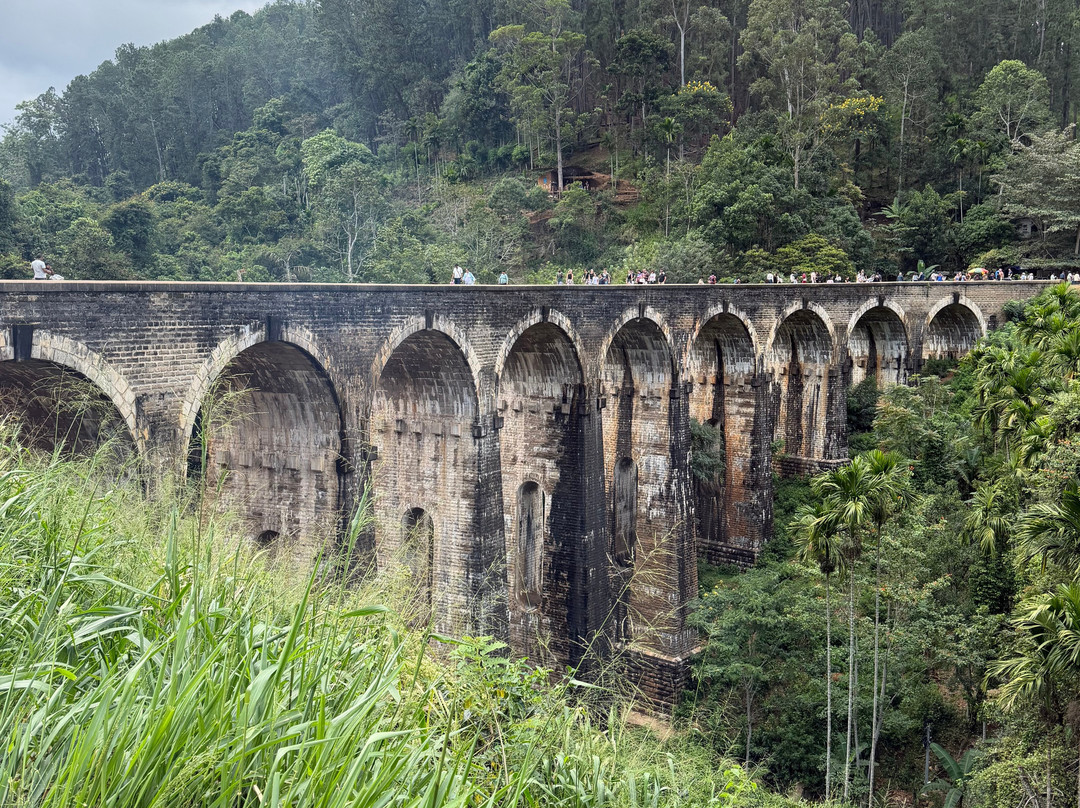 Jonty Tours-巴拉碧提雅必去景点