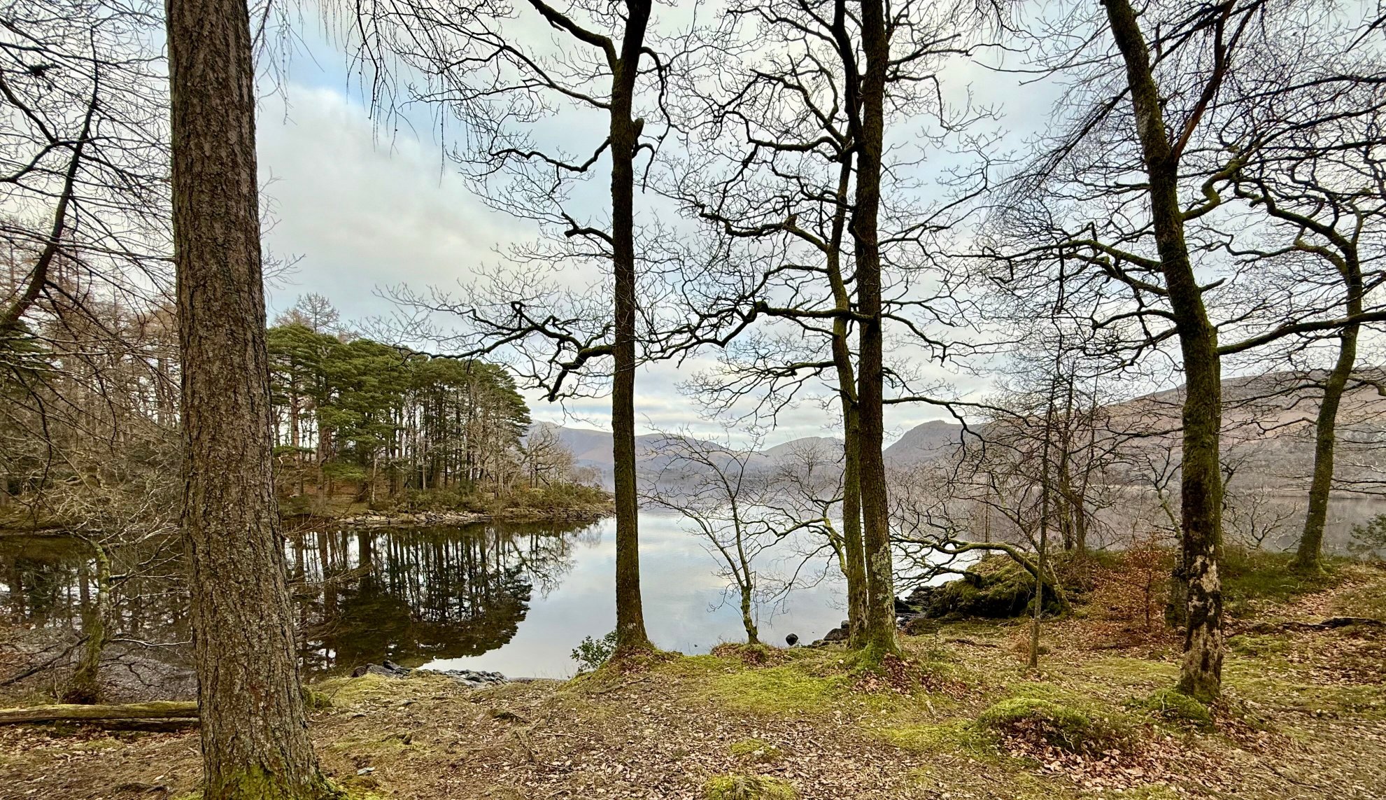 The Lingholm Estate-官方