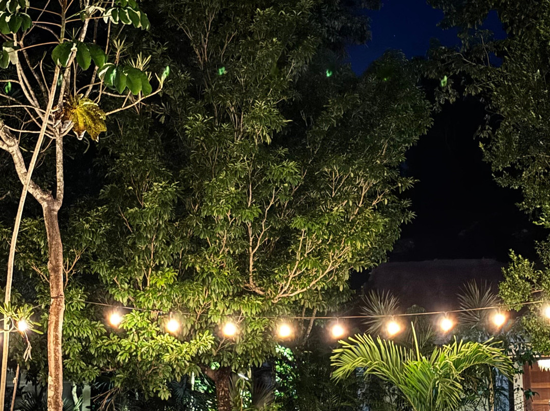 Maya Eco Village主图