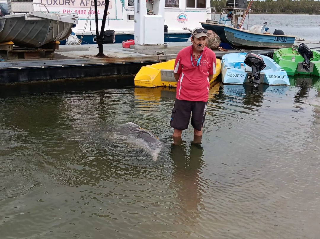 Barnacles Dolphin Centre-Tin Can Bay必去景点