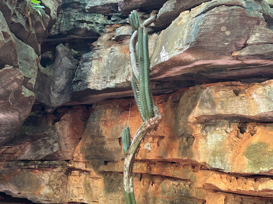 Agência de Turismo Qual O Segredo Aventuras-Betim必去景点