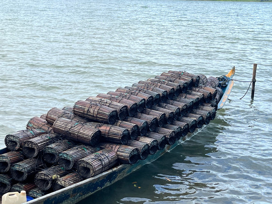 Aventura Eco Brasil-Barra de Sao Miguel必去景点