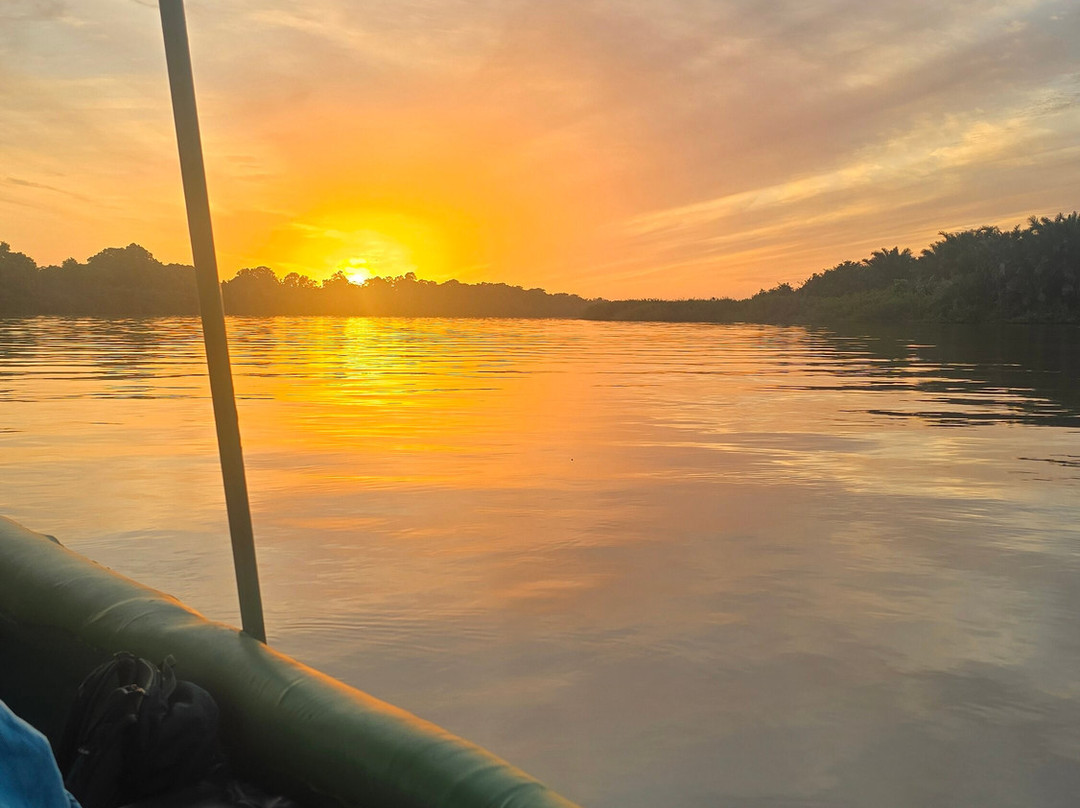 Bushwhacker Tours-Kololi必去景点