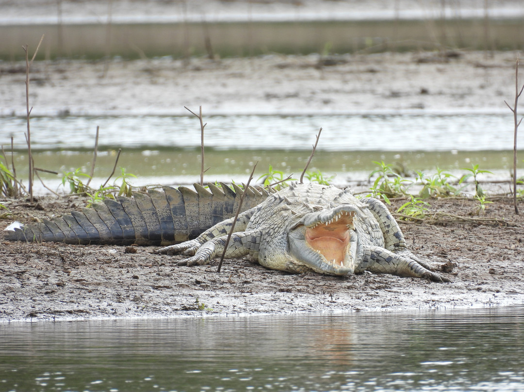 Cano Negro Experience-Cano Negro必去景点