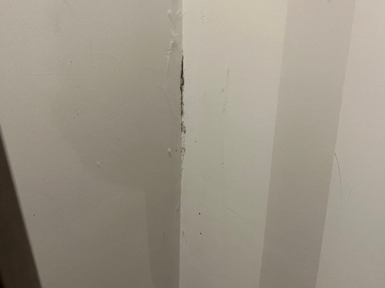 The Plough Inn主图