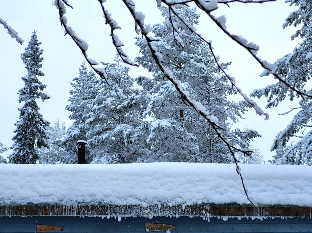 Arctic GM Experiences OY-罗瓦涅米必去景点