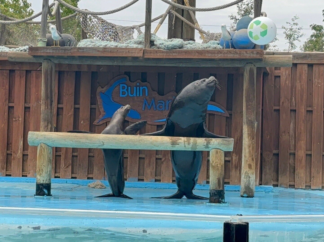 Buin Zoo-Buin必去景点