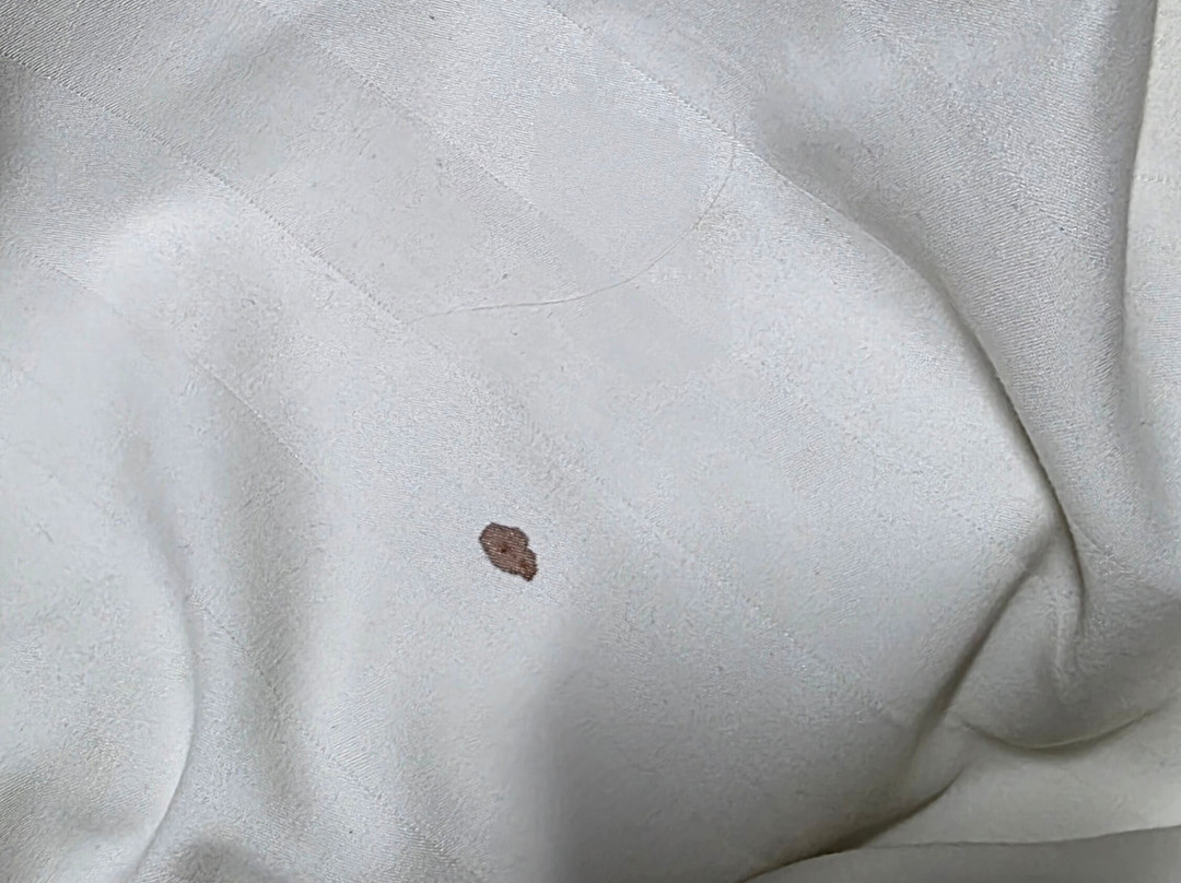 Sunlight Cruise-河内必去景点