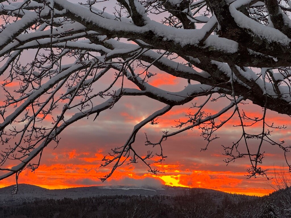 Dexter's Inn-酒店景观