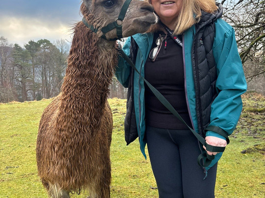 Alpacaly Ever After-Portinscale必去景点