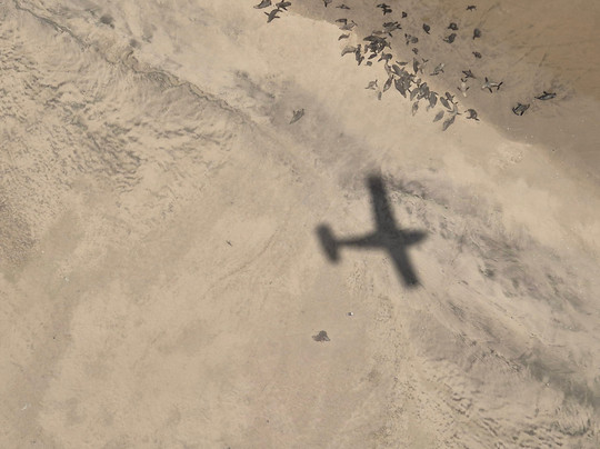 Bush Bird - Sossusfly-斯瓦科普蒙德必去景点